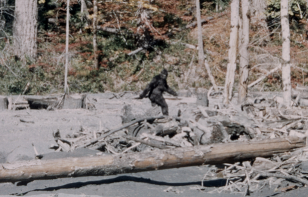 Frame 352 of the infamous Patterson-Gimlin film. Source: wikipedia.